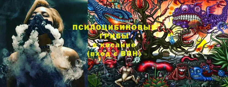 Галлюциногенные грибы MAGIC MUSHROOMS  Кодинск 